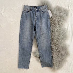 BDG High Rise Slim Straight Jeans